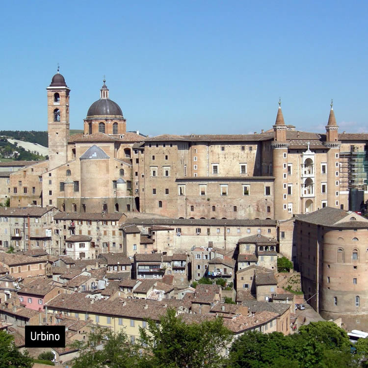 Urbino e il Rinascimento